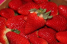 诱人鲜红草莓精美图片