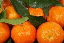 橘子高清特写图片下载