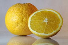 黄色香橙高清图片
