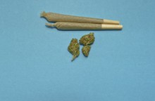 大麻烟草图片素材