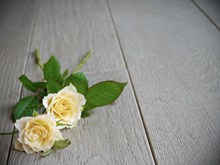 黄玫瑰花木纹背景图片