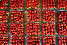 新鲜草莓出售图片素材