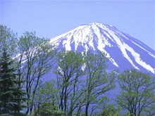 春天富士山图片下载