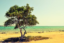 塞浦路斯海边唯美风景图片
