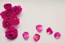 玫瑰花花框背景图片素材