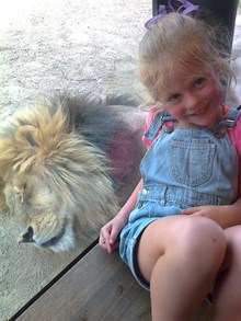 与狮子合影的小女孩图片素材