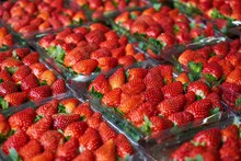 新鲜草莓批发高清图