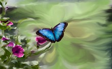 蓝色蝴蝶唯美意境图片下载