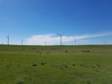 草原电力风车风景图片下载