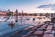布拉格城市河流图片下载