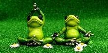 另类青蛙瑜伽精美图片