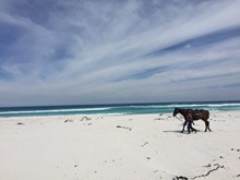 南非开普敦海滩唯美图片下载