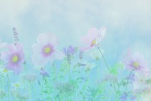 清新花卉淡雅背景图片素材