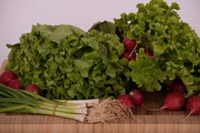 绿色营养蔬菜高清图