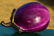 紫色茄子高清图片
