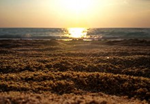 海边沙滩日出高清图