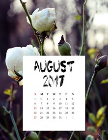 2017年8月份日历高清图