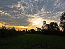 草地日落风景图片素材