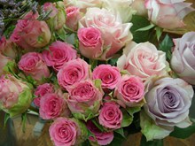 浪漫粉色玫瑰花束图片素材
