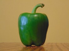 一个绿色青椒精美图片