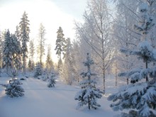 雪天高清自然风景图高清图