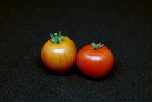 新鲜西红柿图片素材