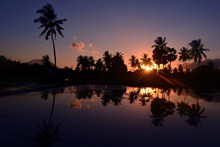 清晨日出唯美椰树风景图片大全