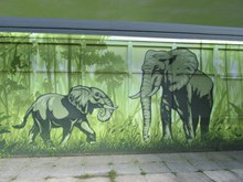 大象墙壁绘画图片