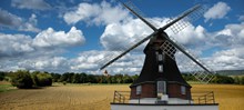 荷兰牧场风车高清图