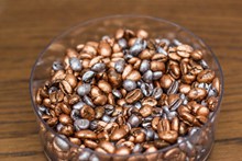 草本咖啡豆的高清图片