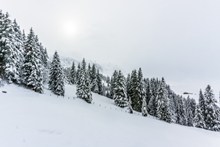 冬天雪景摄影高清图