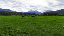 巴伐利亚草原景观高清图片