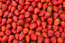 新鲜草莓批发素材图片大全