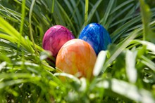 复活节彩色鸡蛋图片下载
