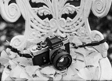 数码相机黑白精美图片