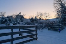 冬天户外篱笆雪景图片下载
