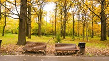 秋天公园落叶风景图片素材