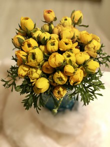 黄色鲜花插花图片下载