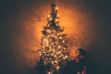 发光的圣诞树精美图片