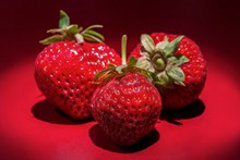 鲜艳可口红草莓图片素材