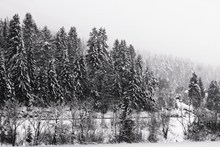 冬季雪山景观黑白图片素材