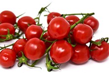 美味小番茄素材高清图片