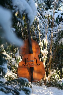 雪地上小提琴高清图片