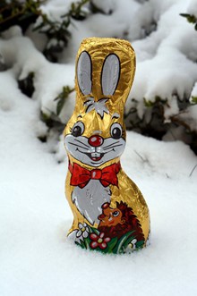 复活节兔子巧克力高清图