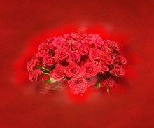 情人节红玫瑰花束 情人节红玫瑰花束大全图片下载