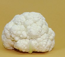 白色花椰菜高清图