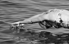 美女游泳黑白摄影图高清图