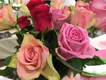浪漫玫瑰花朵花束图片素材