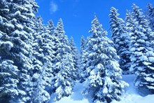 寒冬雪山景观摄影图片素材