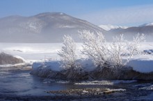 河岸边霜冻景观精美图片